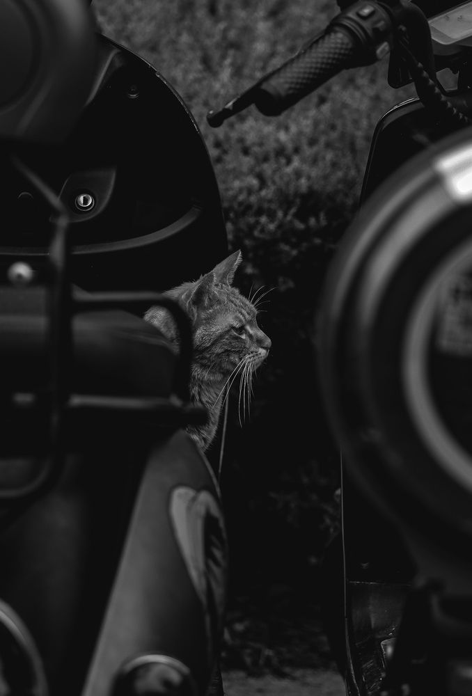 Photograph by Федор Гурьев