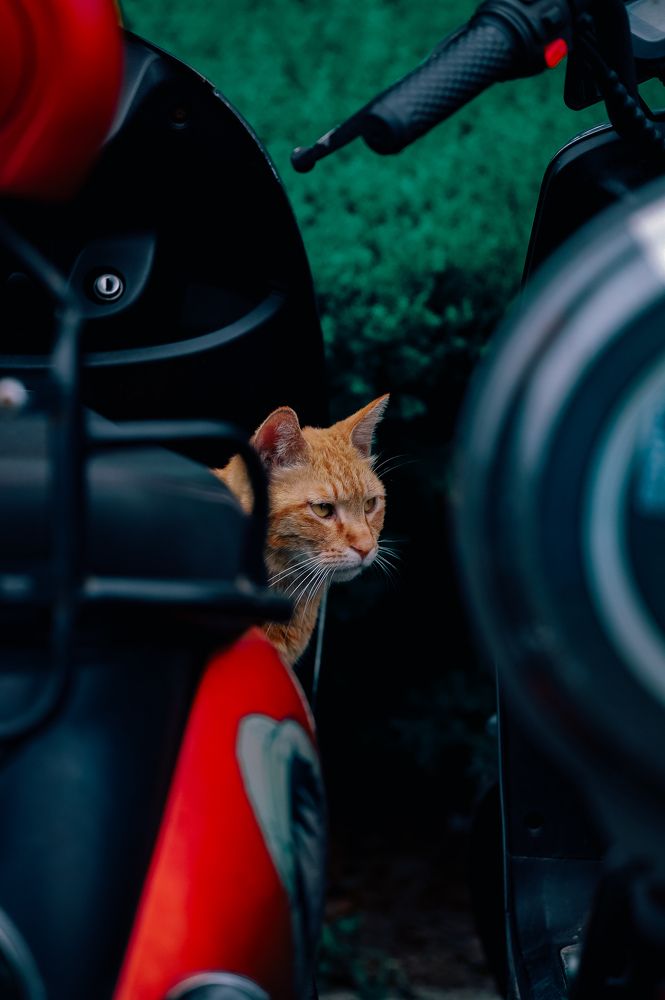 Photograph by Федор Гурьев