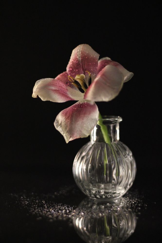 Photograph by Олеся Хижко