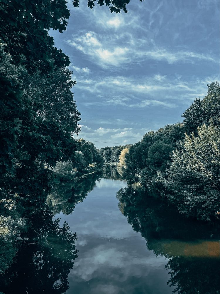 Фотография автора Елена Меньшикова