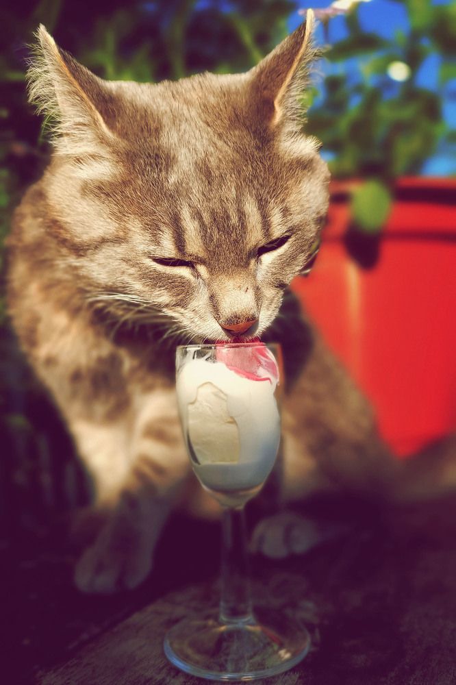 Photograph by Диана Токаревич