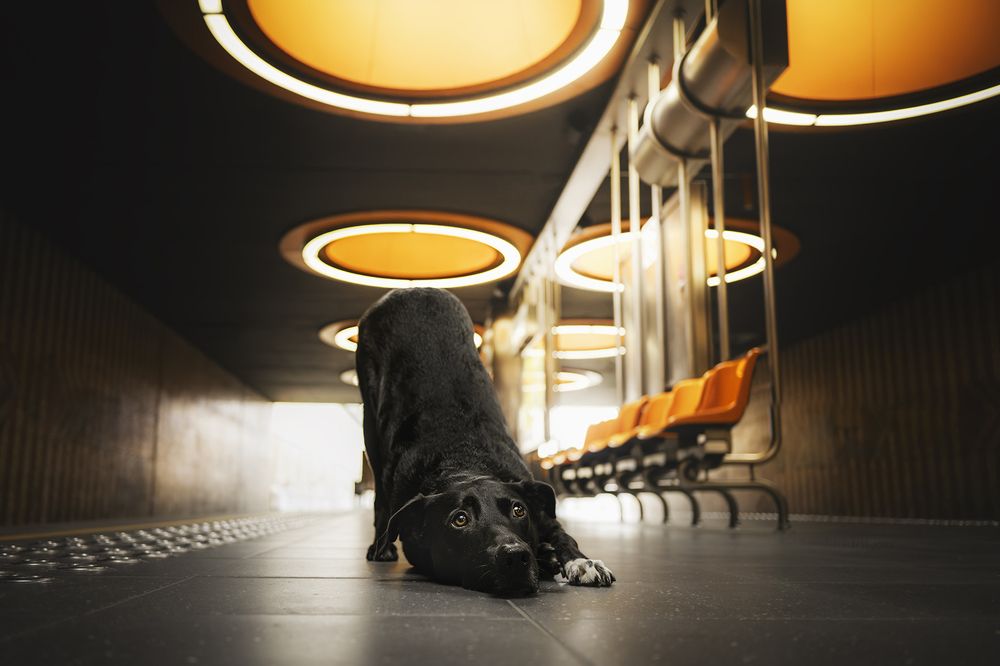 Photograph by Laura Petermans