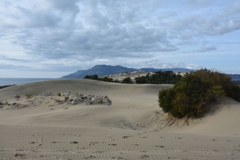 Photograph by Евгений Захаров