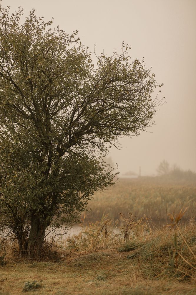 Photograph by Ксения Азаренко