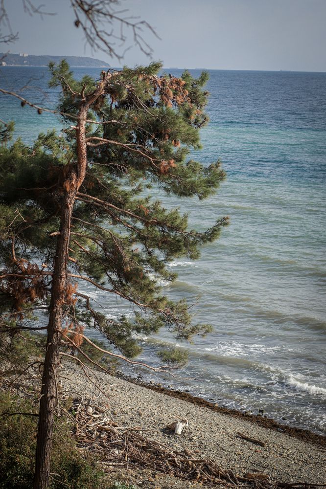 Photograph by Ксения Азаренко