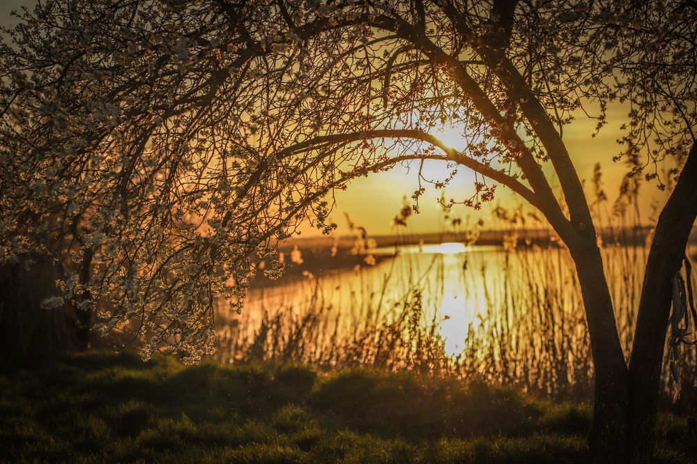 Photograph by Ксения Азаренко