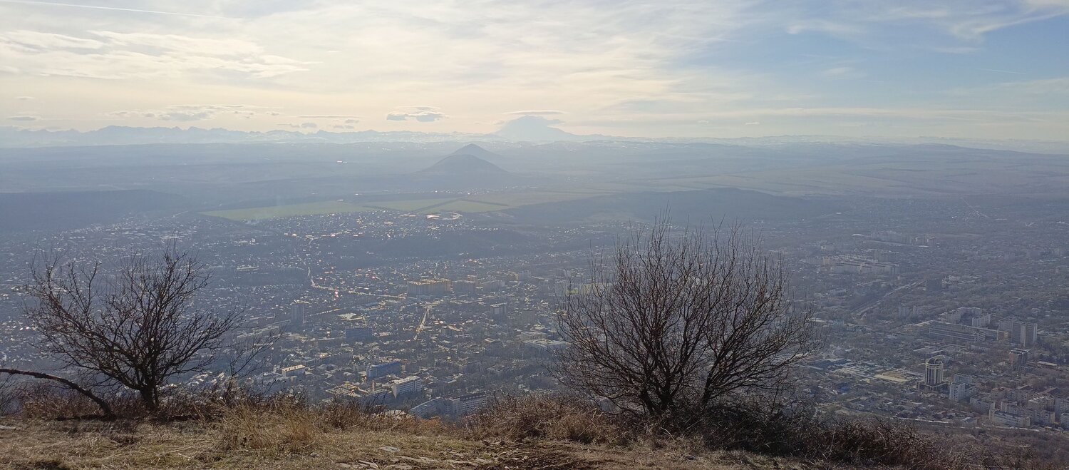 Photo #10785783