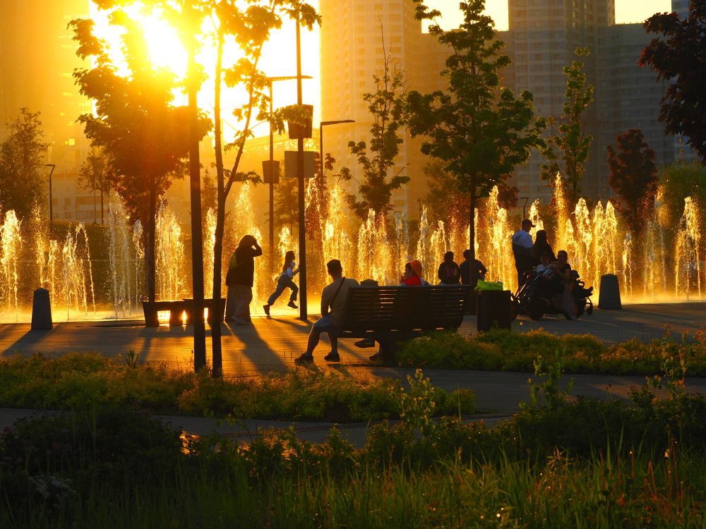 Photograph by Дмитрий Потапов