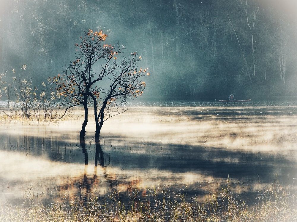 Photograph by Do Thi Thanh Binh