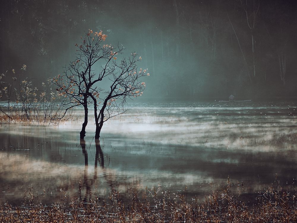 Photograph by Do Thi Thanh Binh