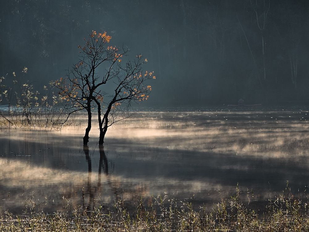 Photograph by Do Thi Thanh Binh
