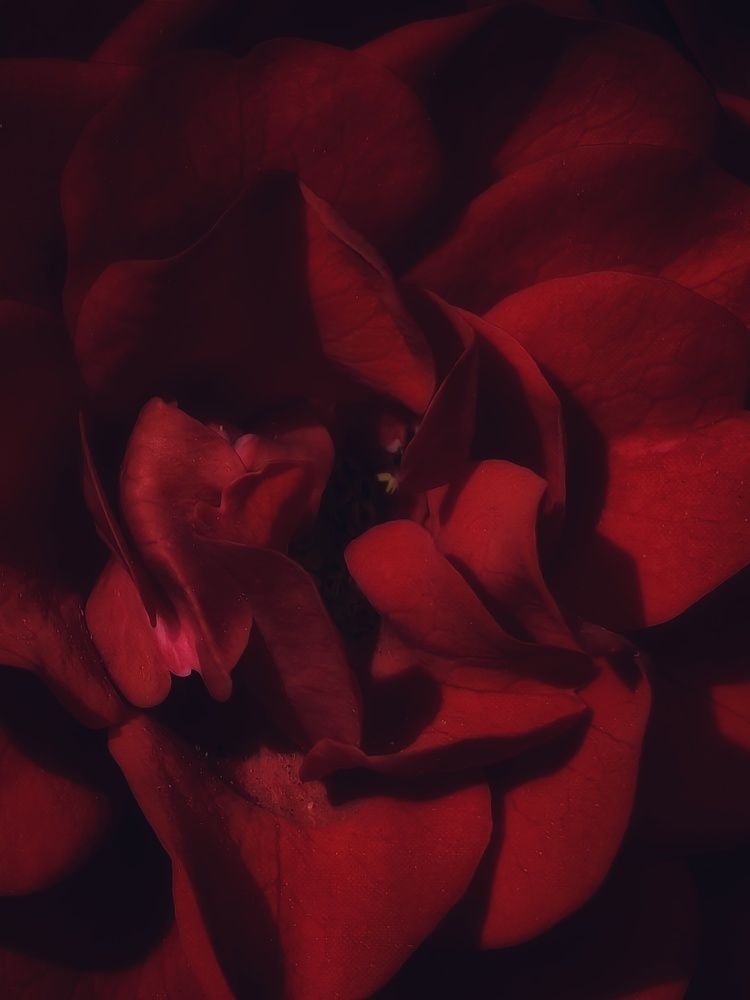 Photograph by Елена Акимова