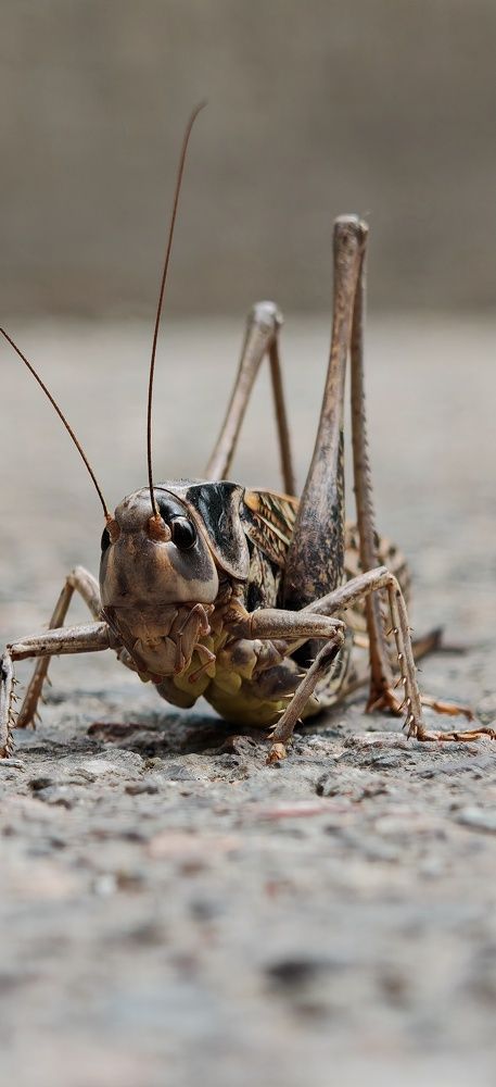 Photograph by Ажар Шайдилдинова