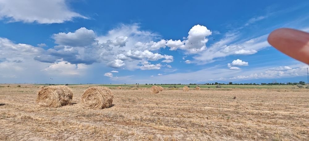 Photograph by Ажар Шайдилдинова