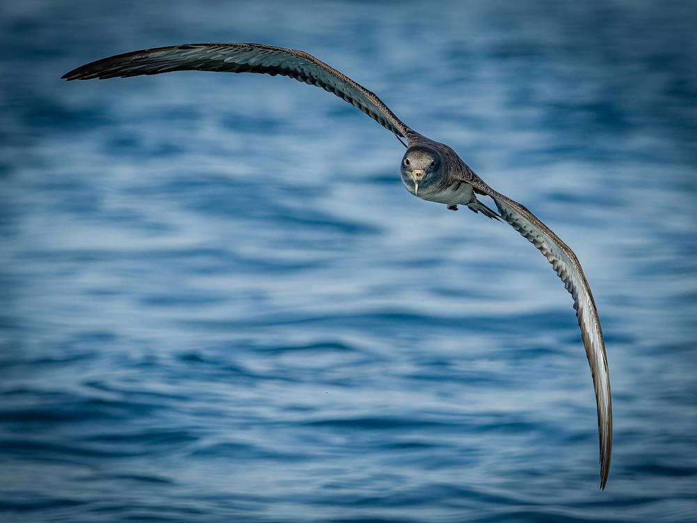 Photograph by Andrea Barlotti