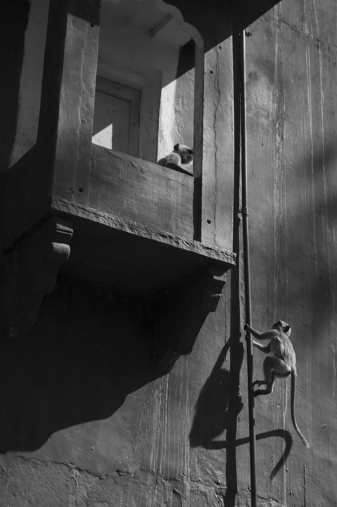 Photograph by Turgay Uzer