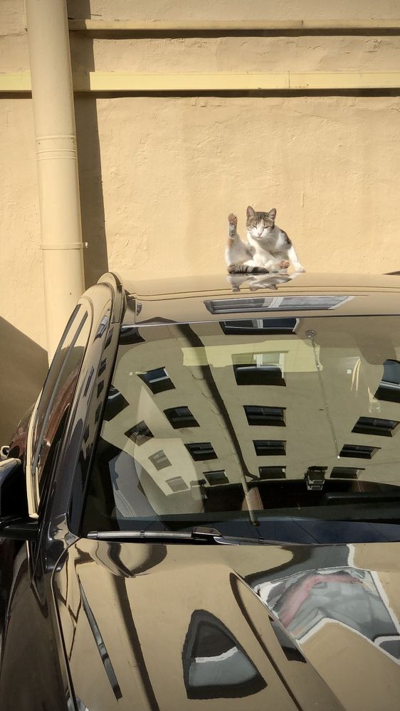 Photograph by Sergey Farenyuk