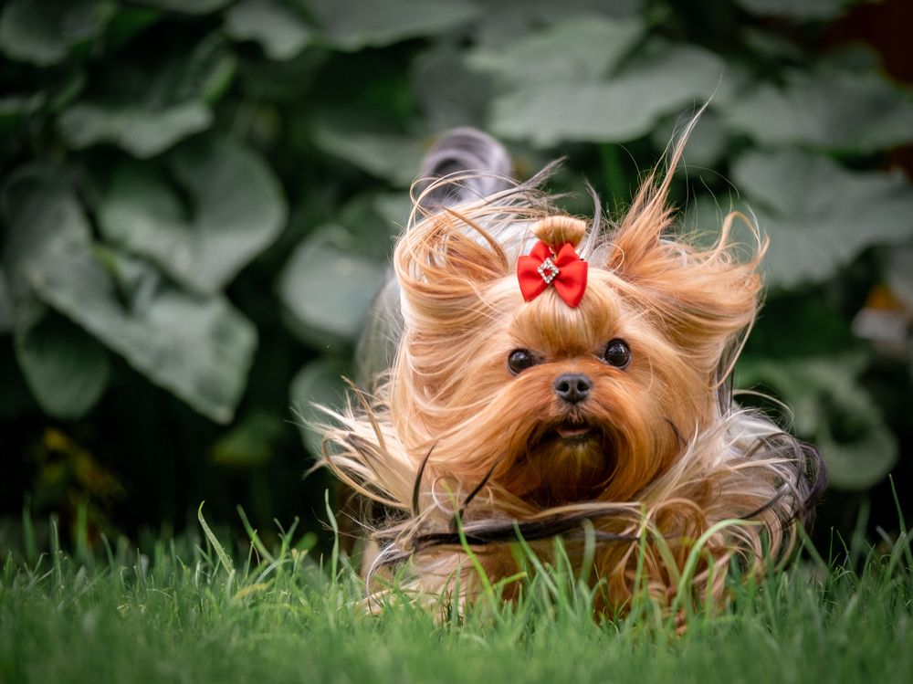 Photograph by Dina Damotseva