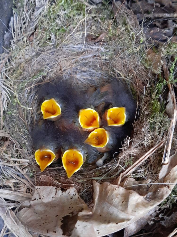 Photograph by Суетинов Евгений