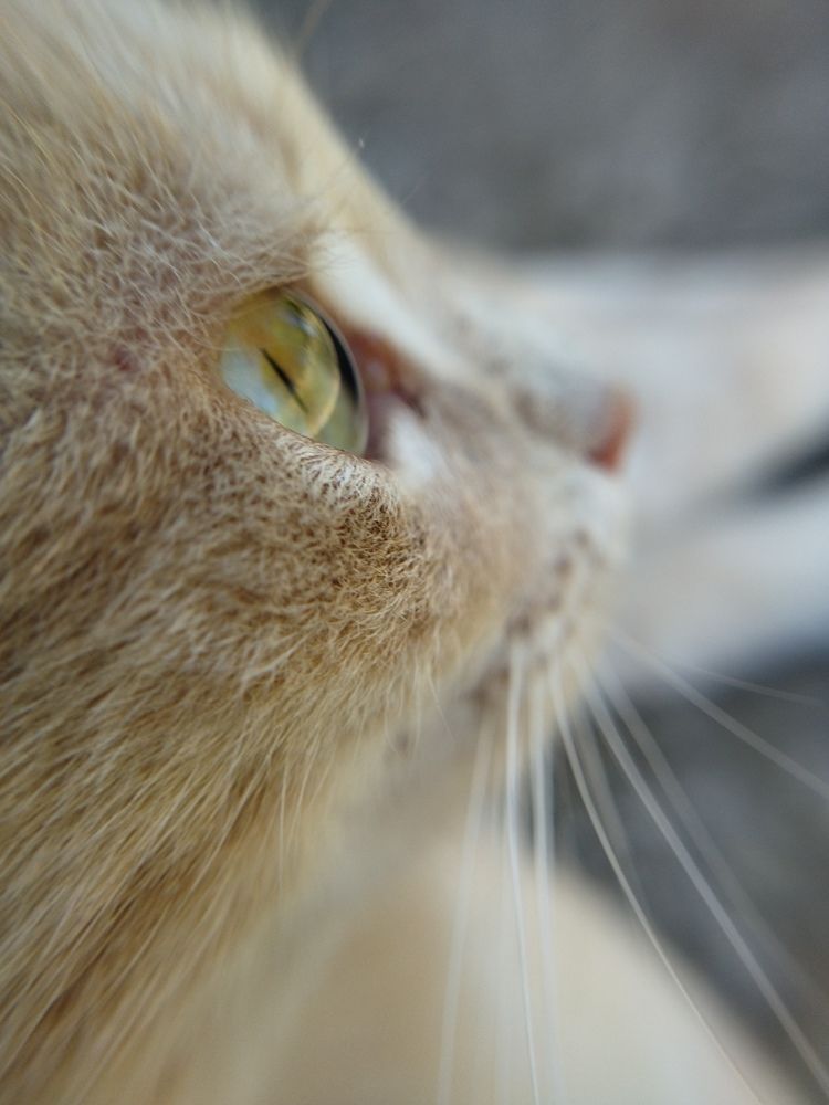 Photograph by Анна Степанова