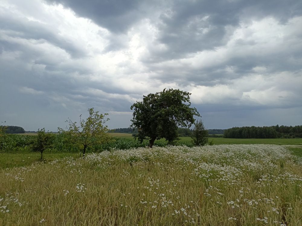 Photograph by Нина Аристова