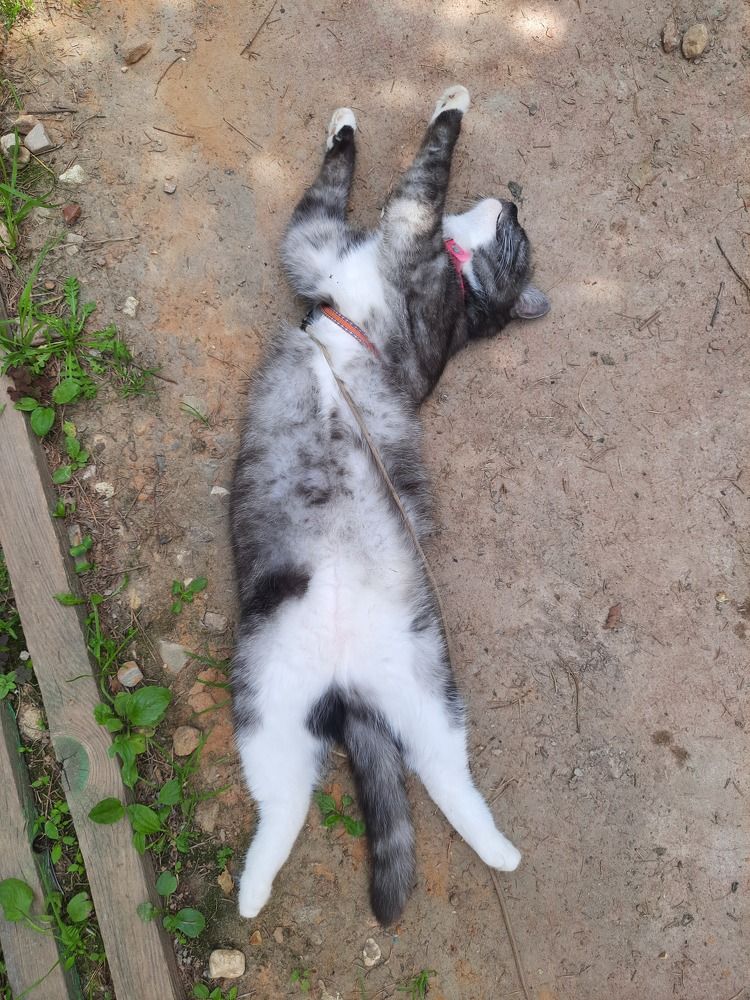 Photograph by Суетинов Евгений