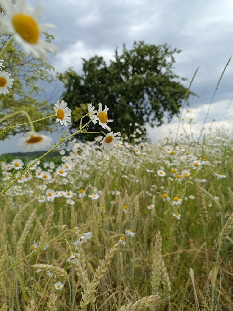 Photograph by Нина Аристова