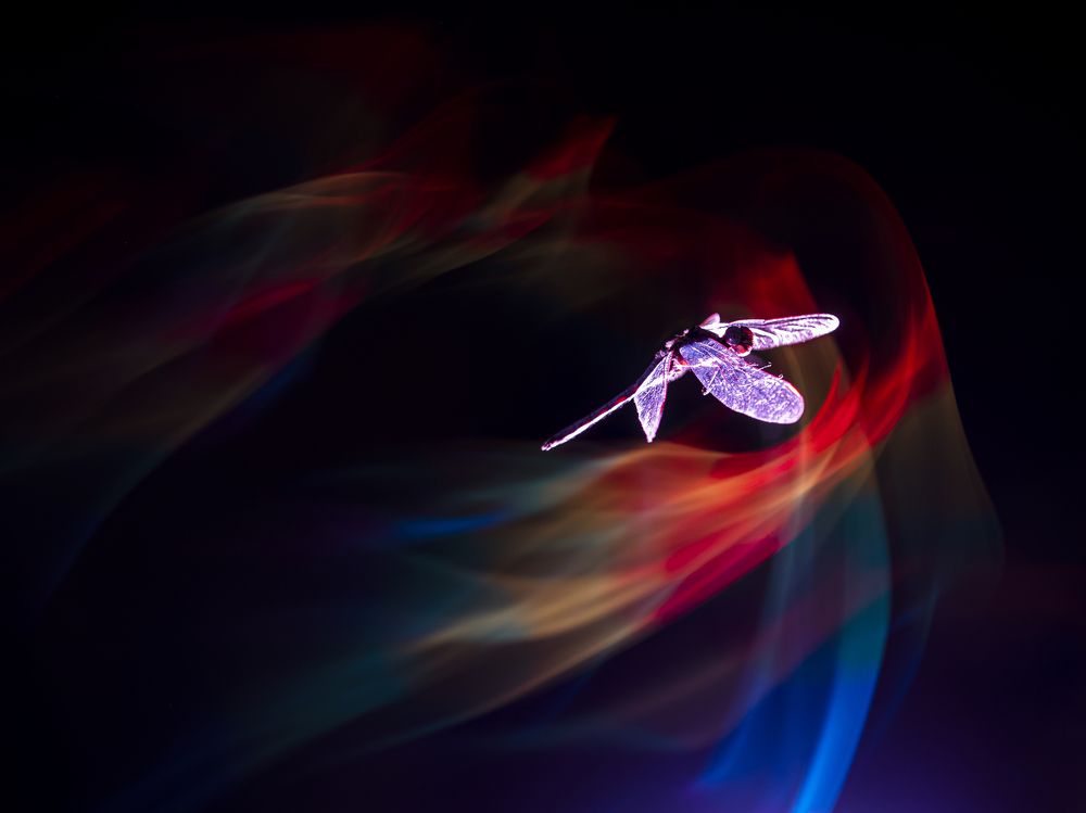 Photograph by FABIO SARTORI