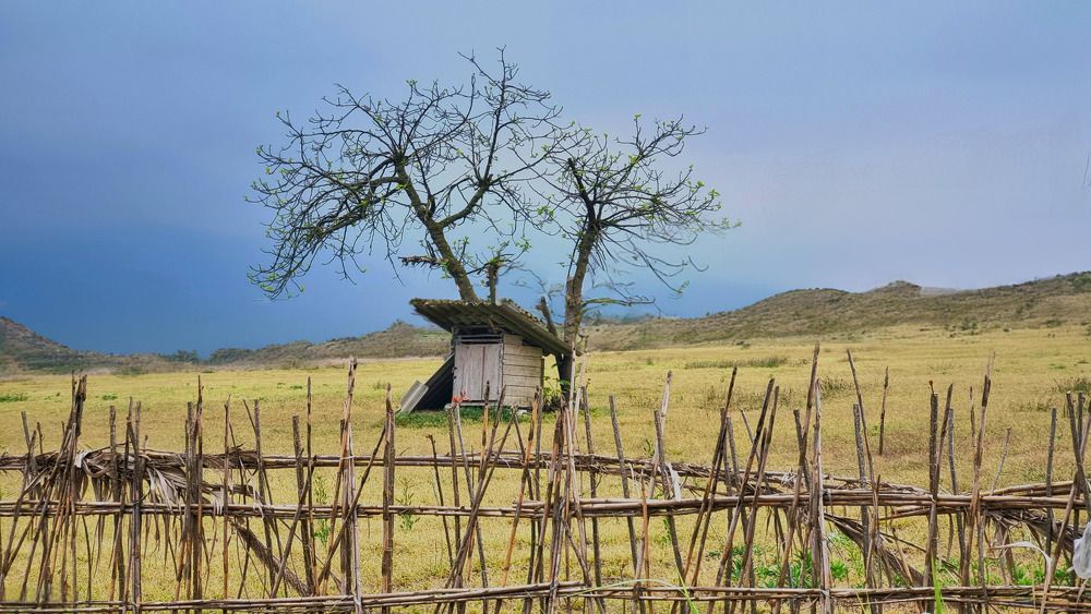 Photograph by amir mohammad manzouri