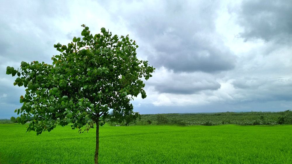 Photograph by amir mohammad manzouri