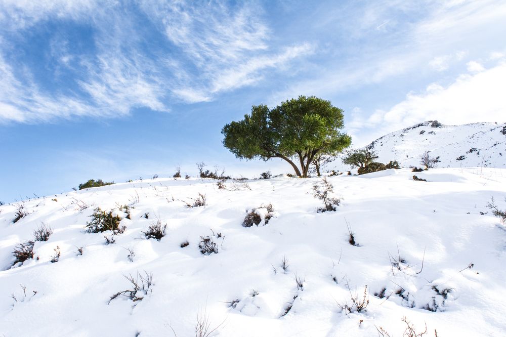 Photograph by MOHAMMED BOULHME
