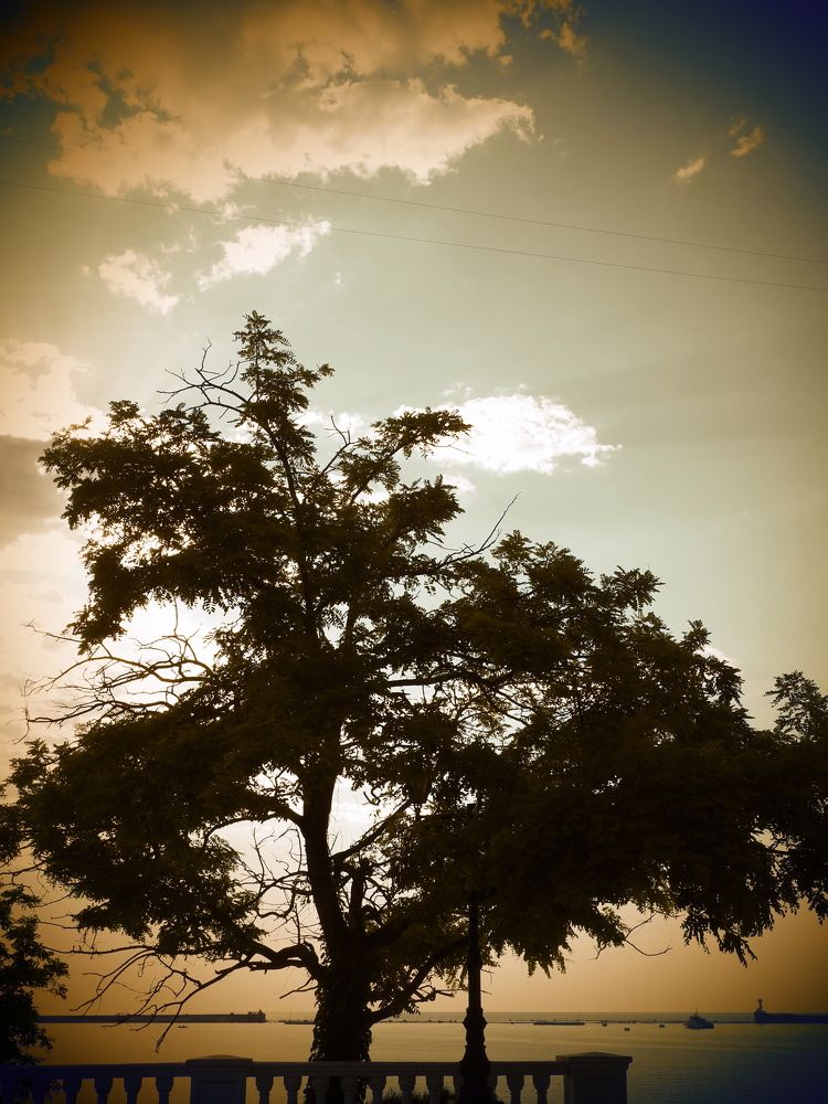 Photograph by Сергей Борисов