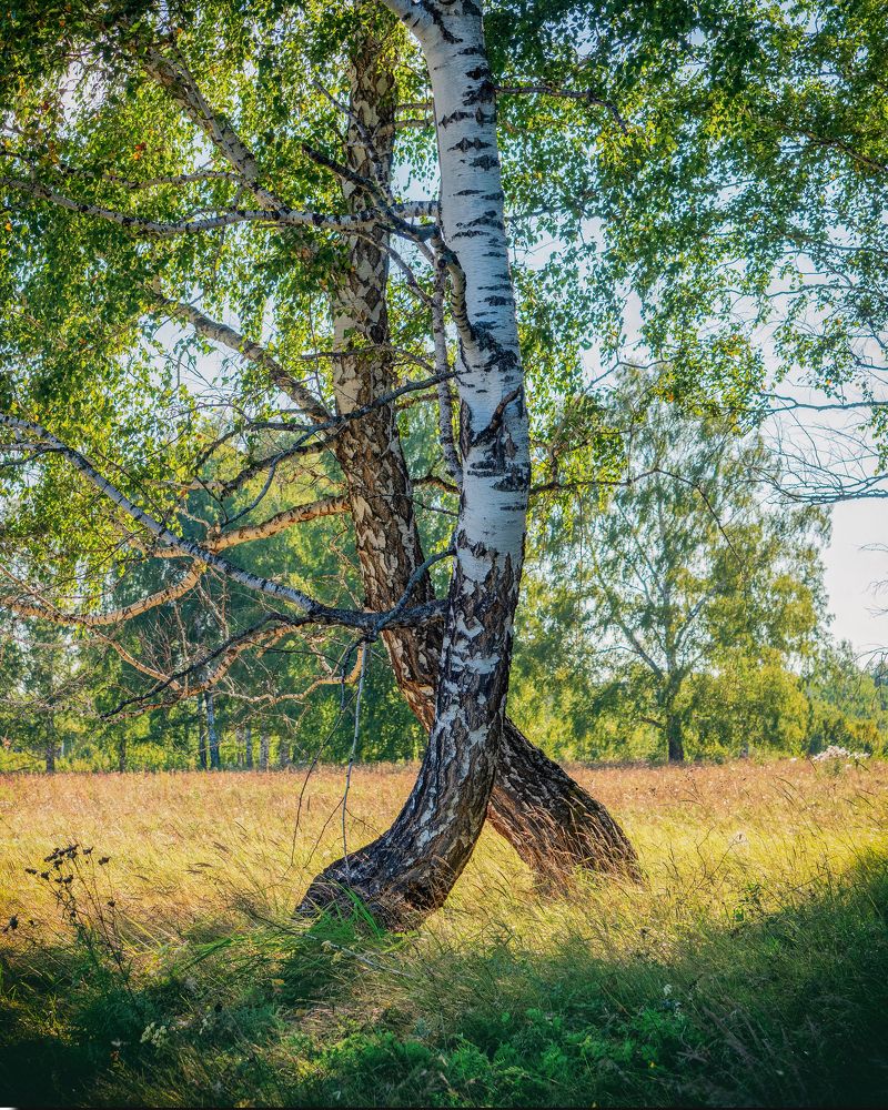 Photograph by Дмитрий Поварков