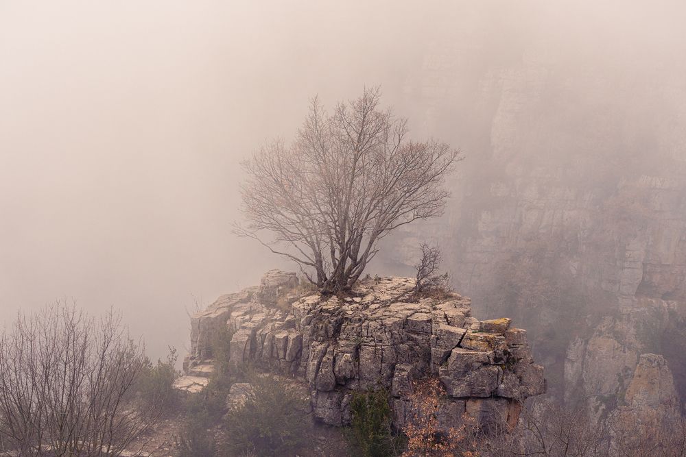 Photograph by Eduardo Garrobo