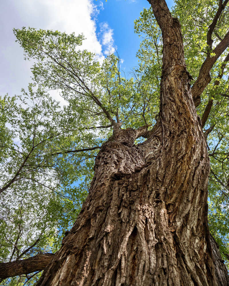 Photograph by Дмитрий Поварков
