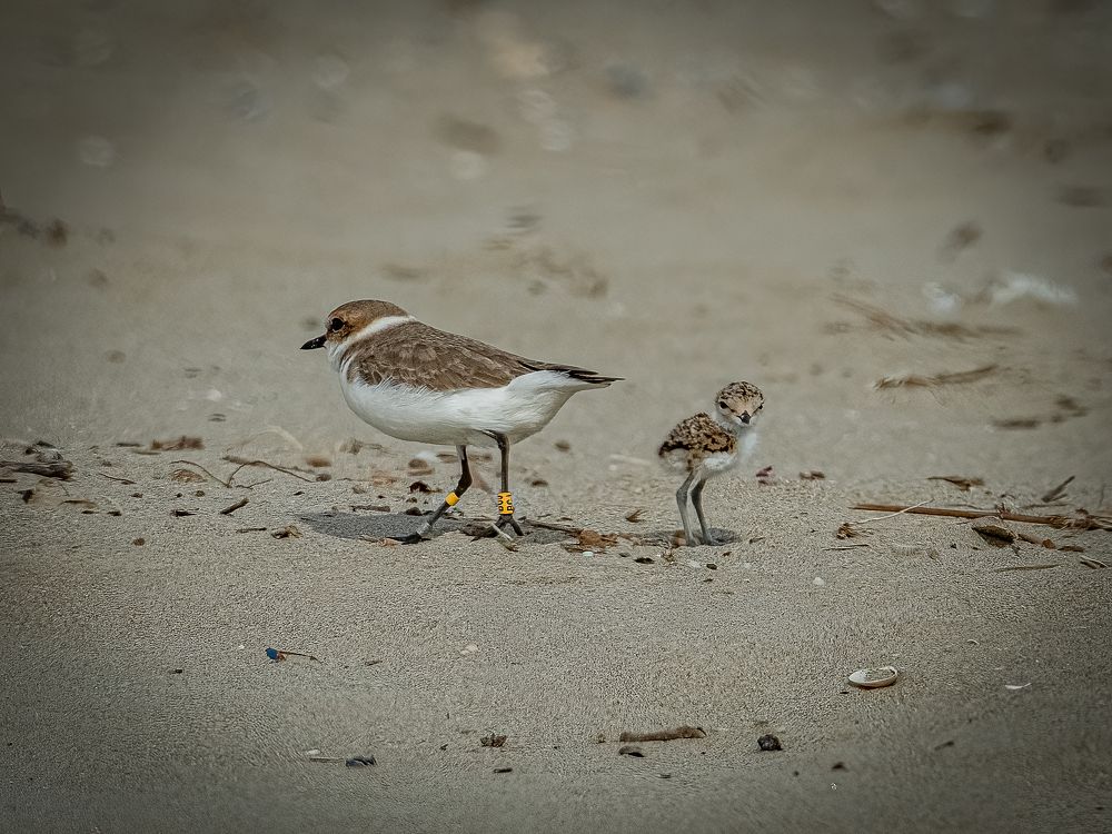 Photograph by Andrea Barlotti