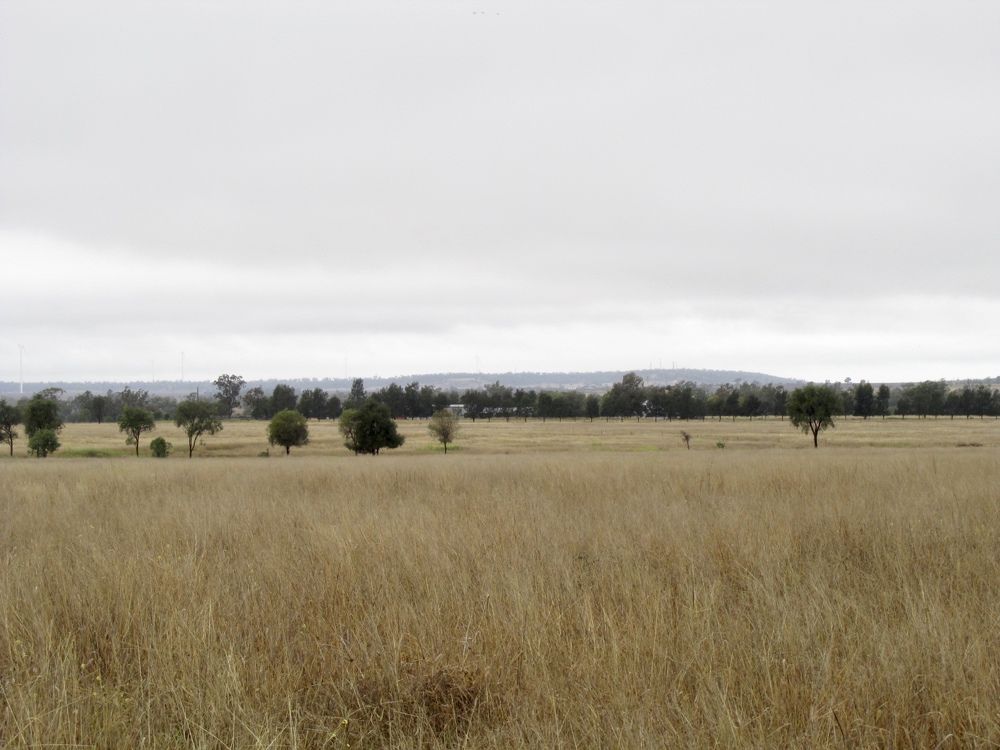 Photo #10786083