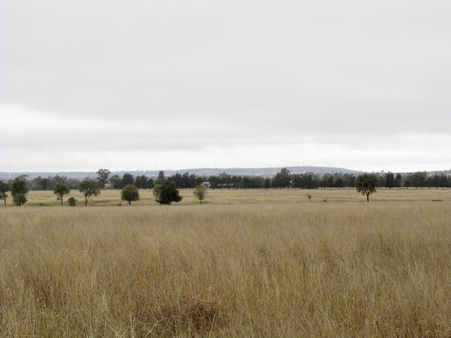 Photo #10786083