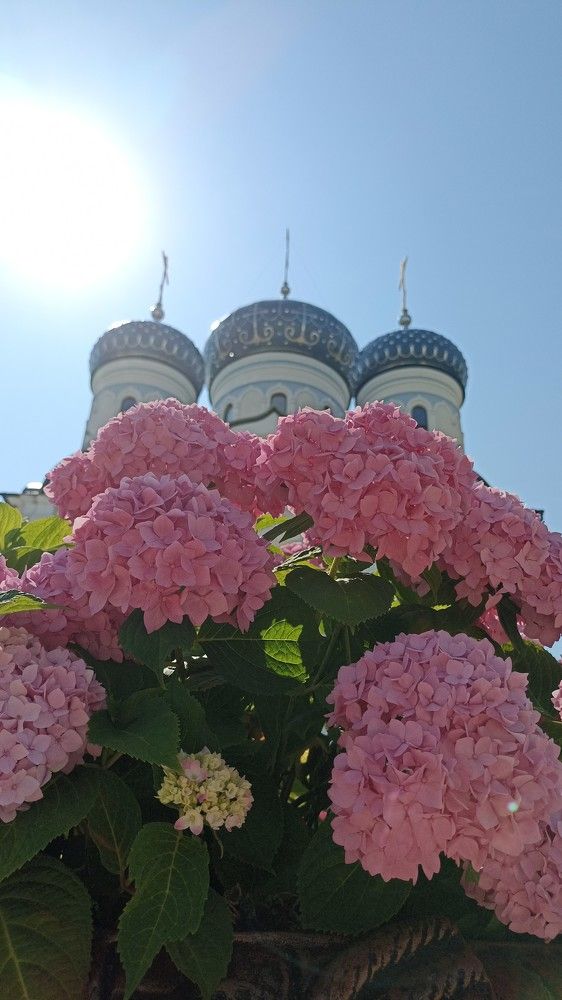 Photograph by Алексей разумов
