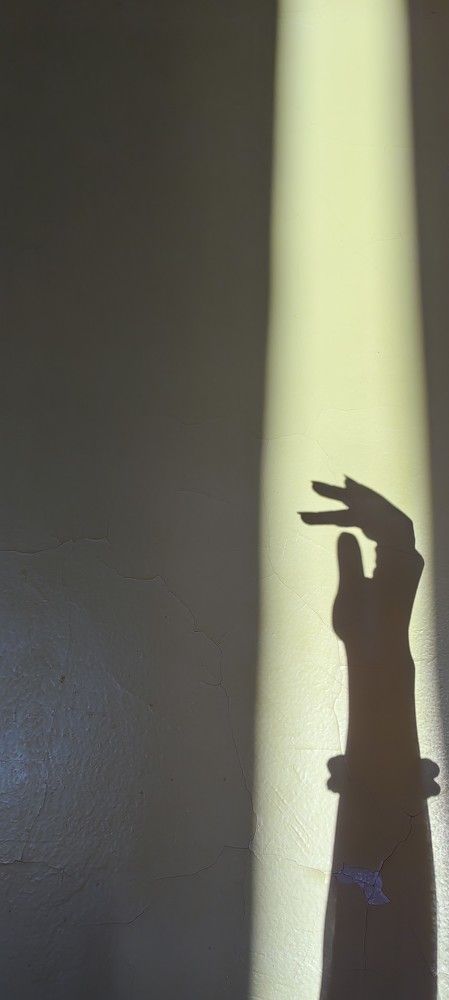 Photo #10786111