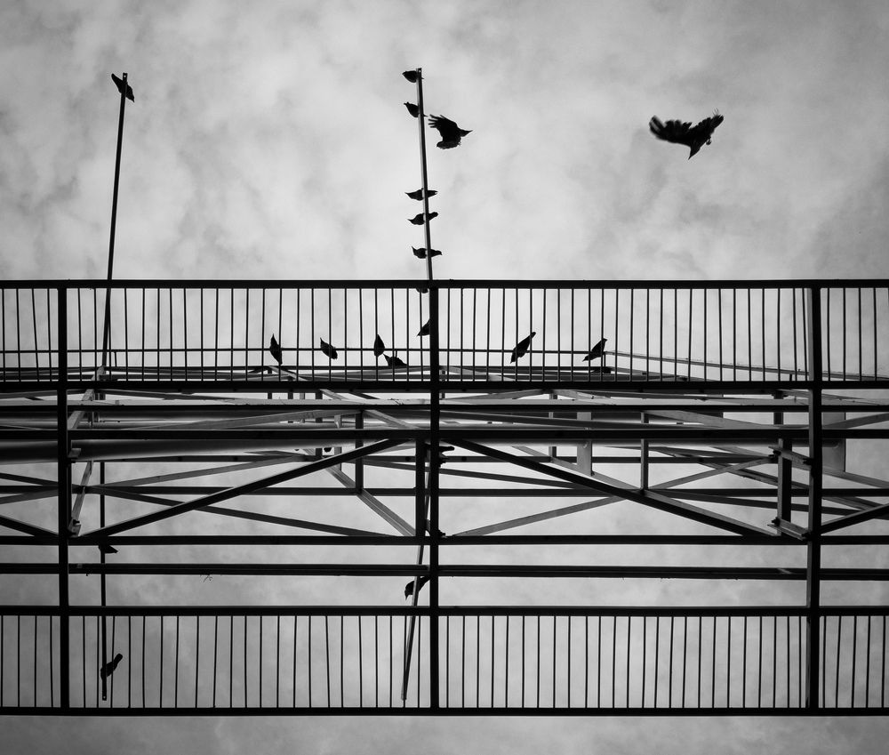 Photograph by Pritam Biswas