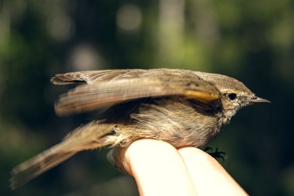 Photograph by Тарас