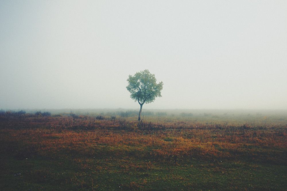 Фотография автора Владимир Будников