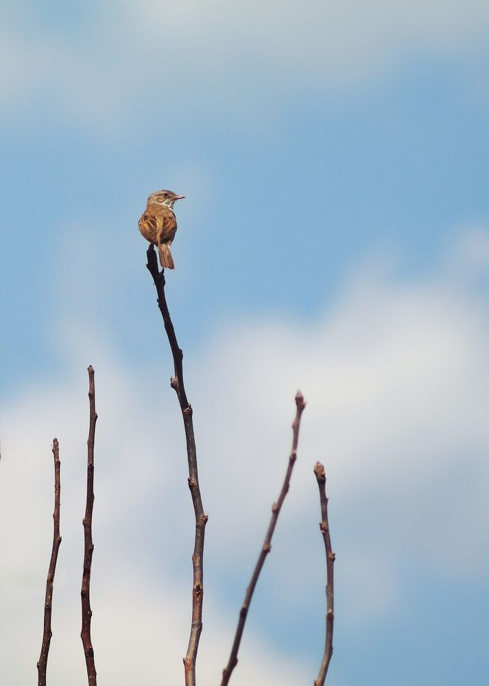 Photograph by алексей пережогин