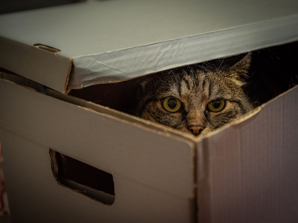 Photograph by Andrea Barlotti