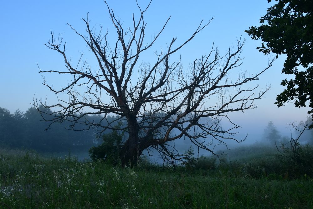 Photograph by Татьяна Калугина