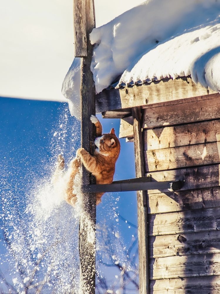 Photograph by Людмила Богданова