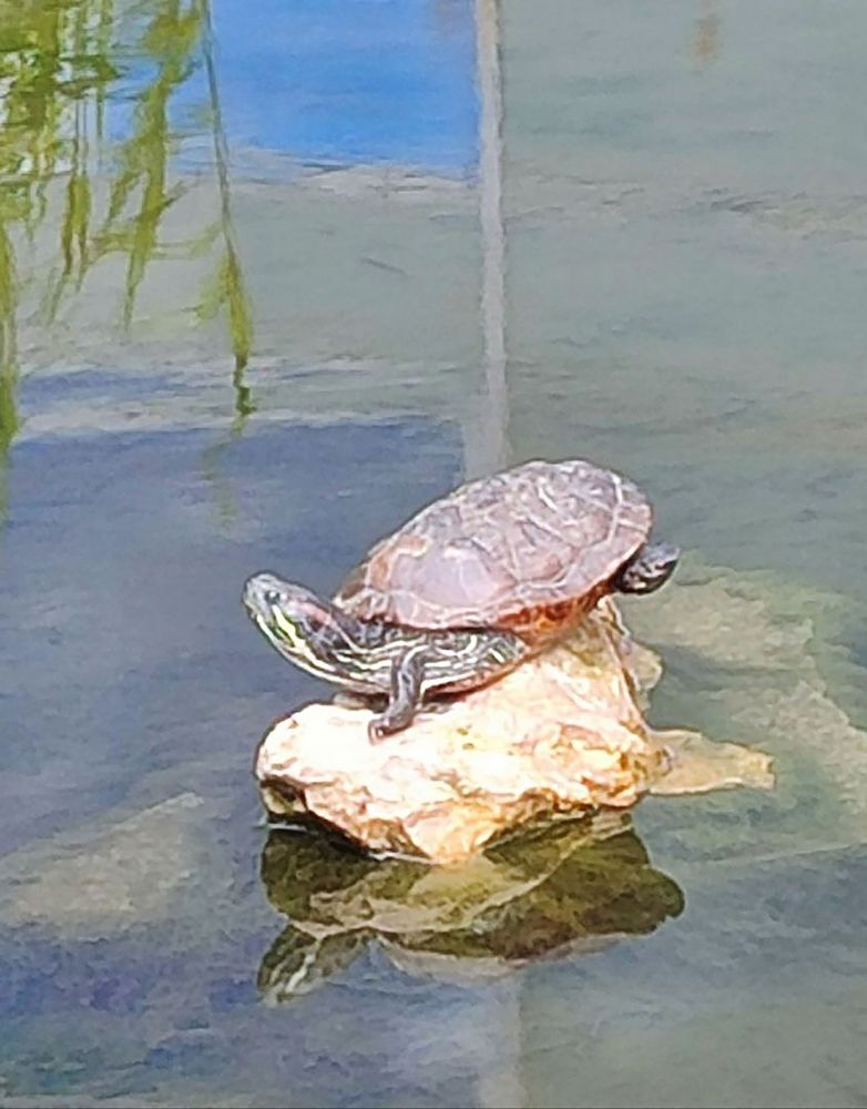 В жаркий полдень