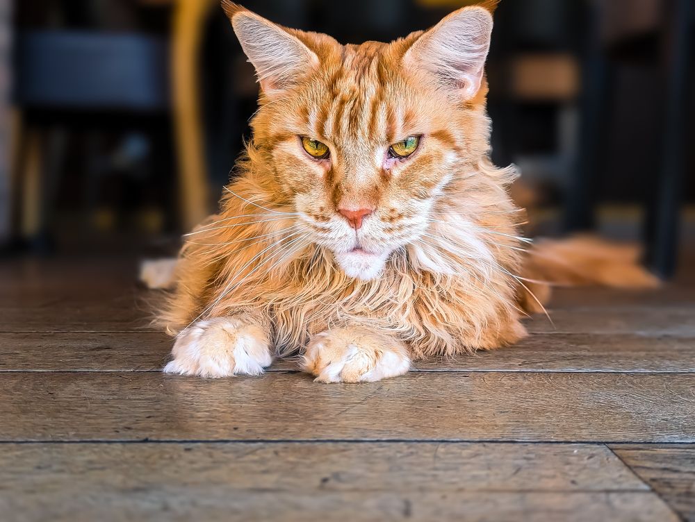 Photograph by Эрик Зибров