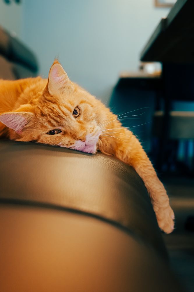 Photograph by Эрик Зибров